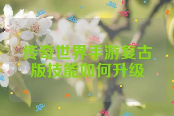 传奇世界手游复古版技能如何升级