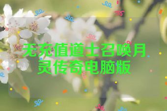 无充值道士召唤月灵传奇电脑版