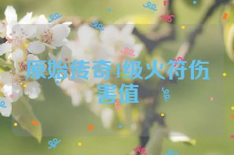 原始传奇4级火符伤害值