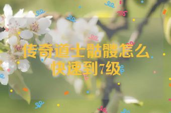 传奇道士骷髅怎么快速到7级