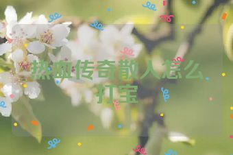 热血传奇散人怎么打宝