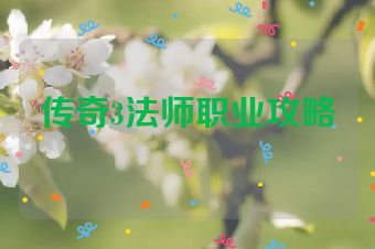 传奇3法师职业攻略