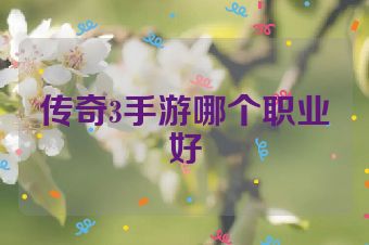 传奇3手游哪个职业好