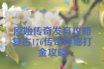 原始传奇发育攻略复古176传奇详细打金攻略
