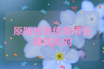 原始传奇传奇币在哪挂机的