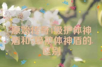 原始传奇4级护体神盾和5级护体神盾的区别