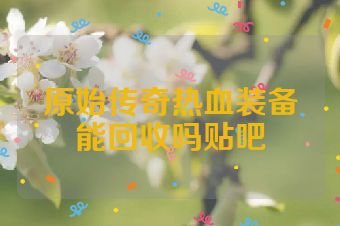 原始传奇热血装备能回收吗贴吧