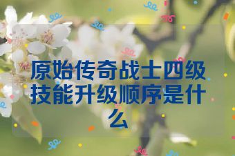 原始传奇战士四级技能升级顺序是什么