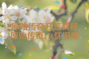 原始传奇开荒教程原始传奇176怀旧版