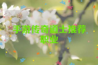 手游传奇道士推荐职业