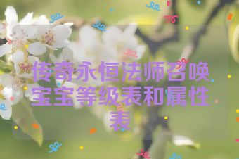 传奇永恒法师召唤宝宝等级表和属性表