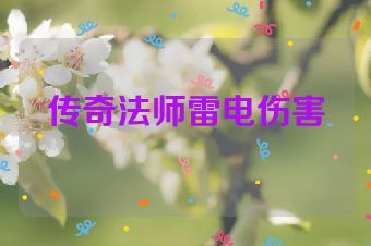传奇法师雷电伤害