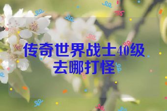 传奇世界战士40级去哪打怪