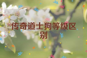 传奇道士狗等级区别