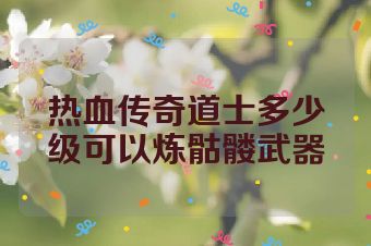 热血传奇道士多少级可以炼骷髅武器