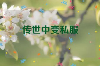 传世中变私服