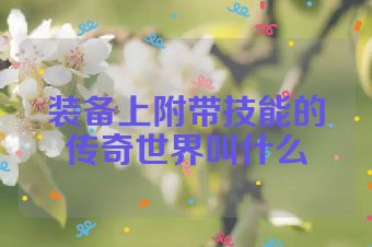 装备上附带技能的传奇世界叫什么