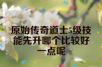 原始传奇道士5级技能先升哪个比较好一点呢