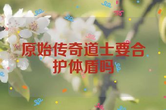 原始传奇道士要合护体盾吗