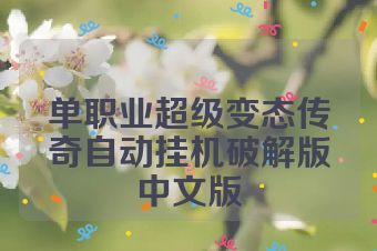 单职业超级变态传奇自动挂机破解版中文版