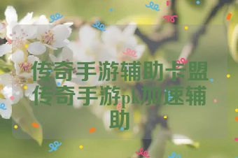 传奇手游辅助卡盟传奇手游pk加速辅助