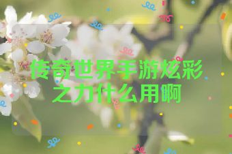 传奇世界手游炫彩之力什么用啊