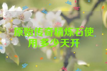 原始传奇精炼石使用,多少天开