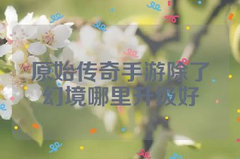 原始传奇手游除了幻境哪里升级好