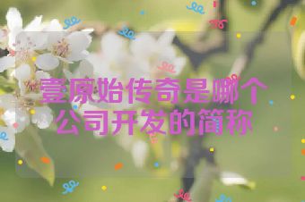 壹原始传奇是哪个公司开发的简称