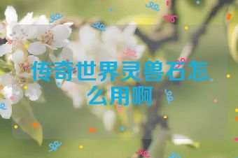 传奇世界灵兽石怎么用啊