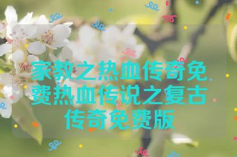 家教之热血传奇免费热血传说之复古传奇免费版