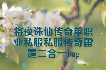 将夜诛仙传奇单职业私服私服传奇雷霆二合一bug