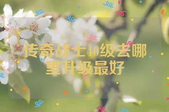 传奇战士40级去哪里升级最好