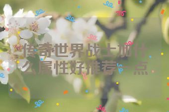 传奇世界战士加什么属性好推荐一点