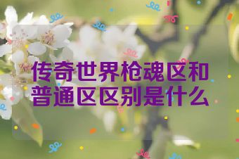 传奇世界枪魂区和普通区区别是什么