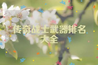 传奇战士武器排名大全
