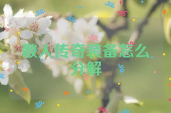 散人传奇装备怎么分解