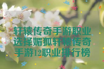 轩辕传奇手游职业选择媚狐轩辕传奇手游12职业排行榜