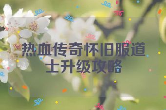 热血传奇怀旧服道士升级攻略