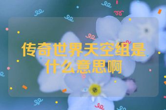 传奇世界天空组是什么意思啊