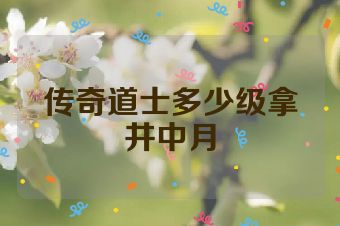 传奇道士多少级拿井中月