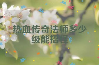 热血传奇法师多少级能招怪