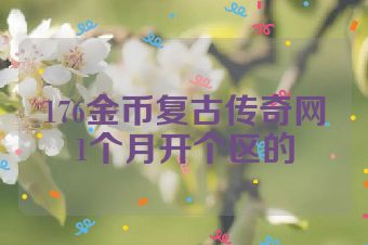 176金币复古传奇网1个月开个区的