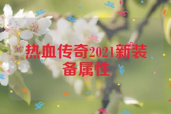 热血传奇2021新装备属性