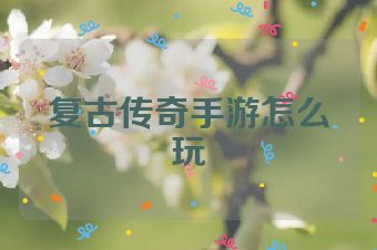 复古传奇手游怎么玩