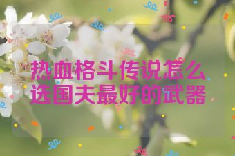 热血格斗传说怎么选国夫最好的武器