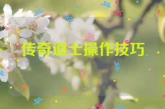 传奇道士操作技巧