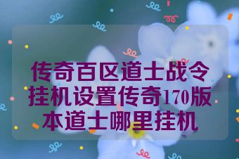 传奇百区道士战令挂机设置传奇170版本道士哪里挂机