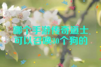 哪个手游传奇道士可以召唤30个狗的