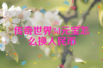 传奇世界3d元宝怎么换人民币